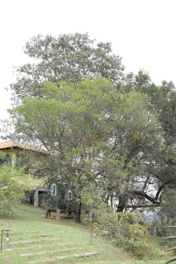 Villa Severina برومادينهو المظهر الخارجي الصورة